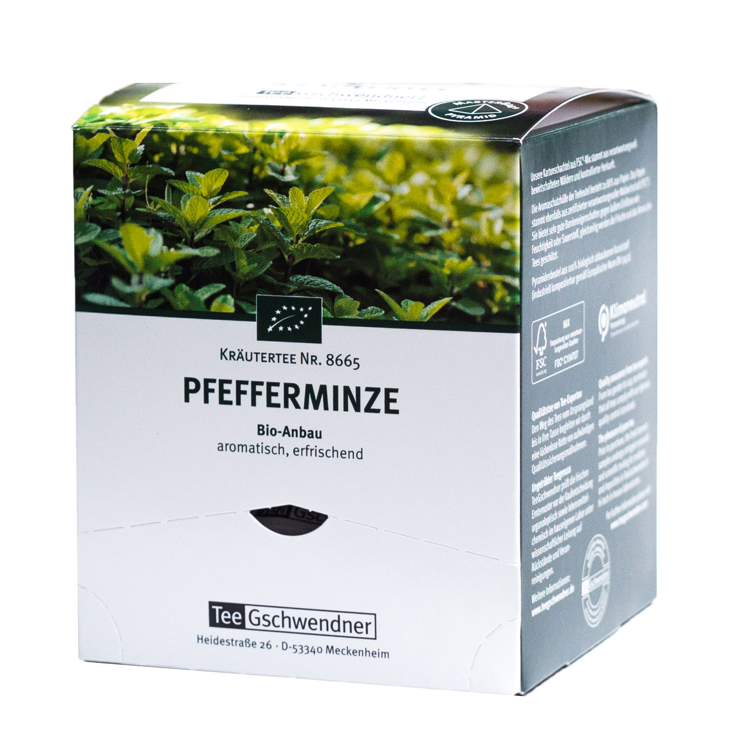 MasterBag Pyramid Pfefferminze